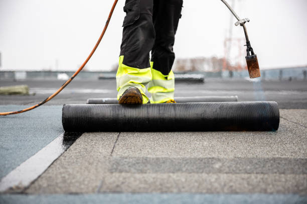 Best Gutter Installation and Repair  in Brookwood, AL